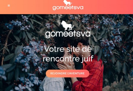 GoMeetsVA